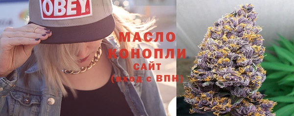 тгк Алзамай