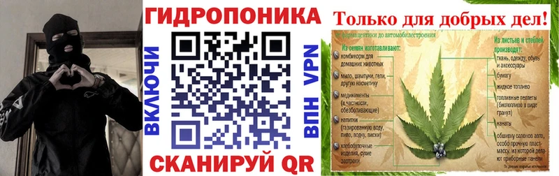 Бошки Шишки сатива  где можно купить наркотик  Боготол 
